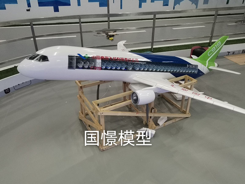 永安市飞机模型